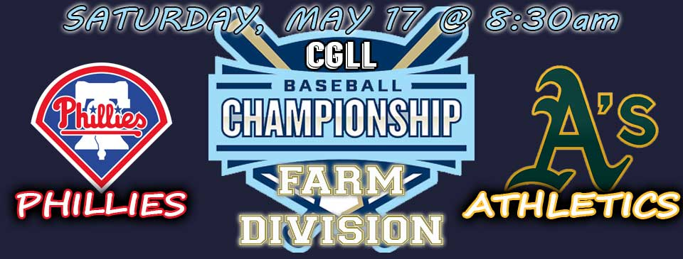 Farm Baseball Championship